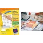 Selbstklebeetiketten Avery 3667-200