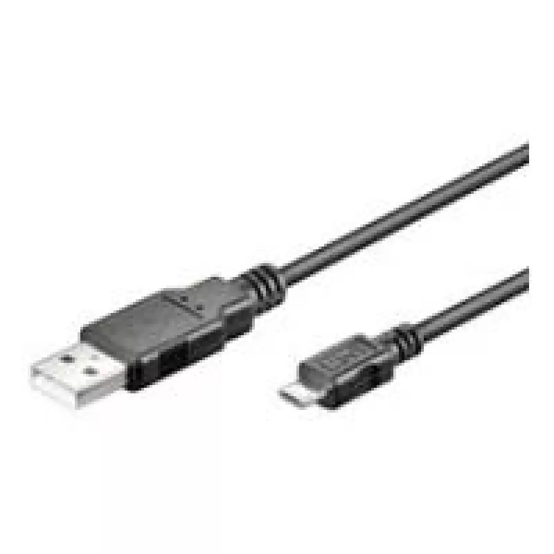 Wentronic 93922 USB-Kabel Schwarz