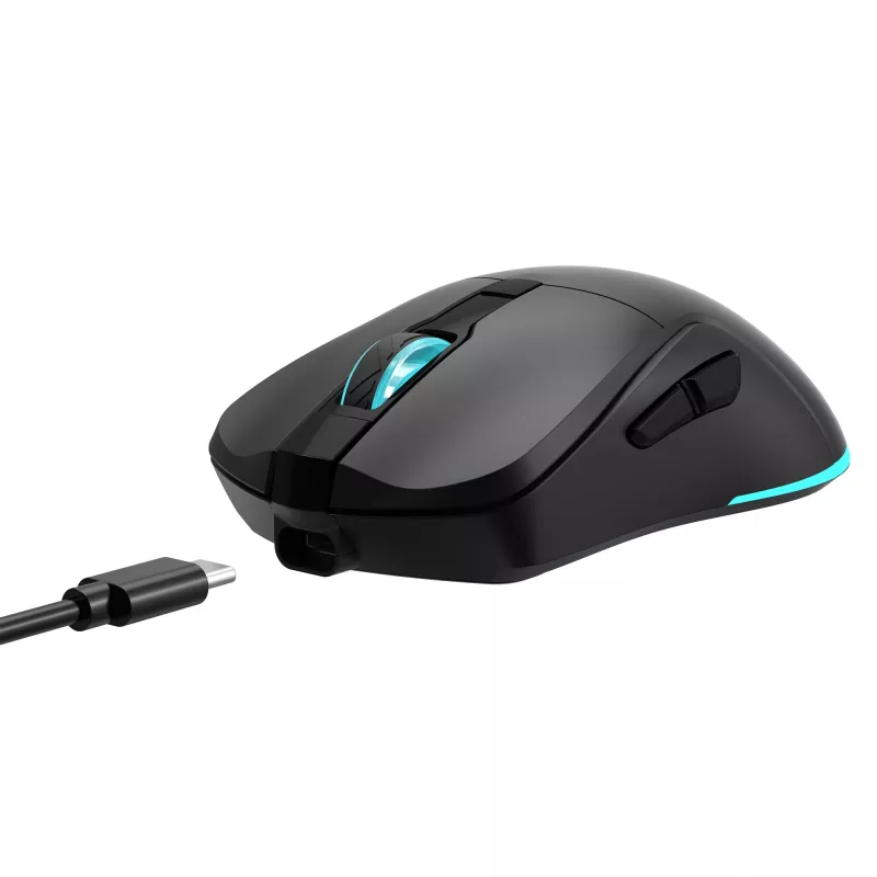 Maus Baracuda BGM-121 Turtle Schwarz USB