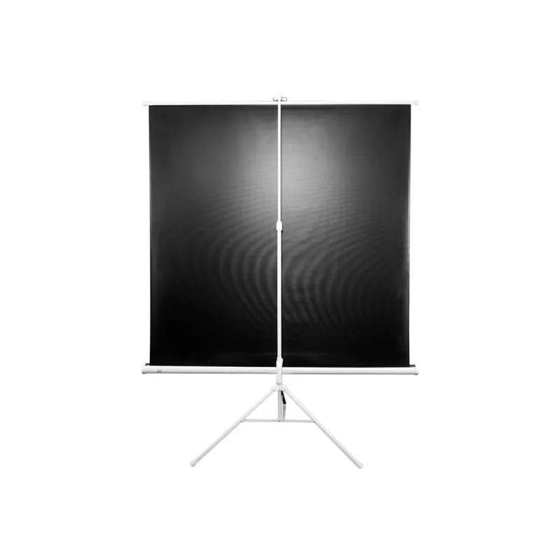 Tragbare Projektionsleinwand Elite Screens T120NWV1 3,05 m 4:3