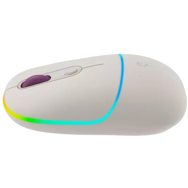 CANYON Maus MW-22 2-in-1 BT/Wireless Rice