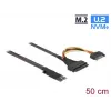 DeLOCK M.2 Key M auf U.2 SFF-8639 NVMe-Adapter mit 50 cm Kabel