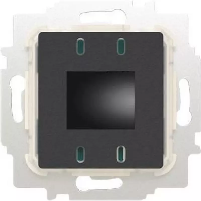 Busch-jaeger 2CKA001032A0535