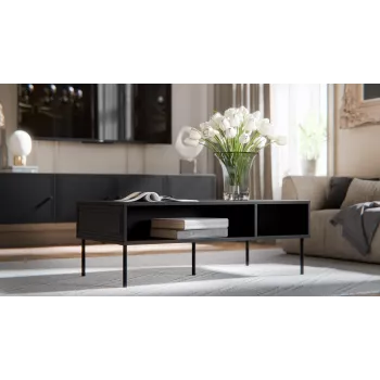 Cama PALAZZO BIS table/latrine 110x60x40 matt schwarz