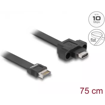 DeLOCK USB-Flachkabel Typ-E Key A 20 Pin Stecker auf USB Typ-C Buchse 75 cm