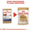 Nassfutter für Hunde Royal Canin Chihuahua Adult Beutel 85 g — Geflügel, für ausgewachsene Chihuahuas 1–1,9 kg
