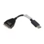Lenovo 43N9160 DVI-D DisplayPort Schwarz