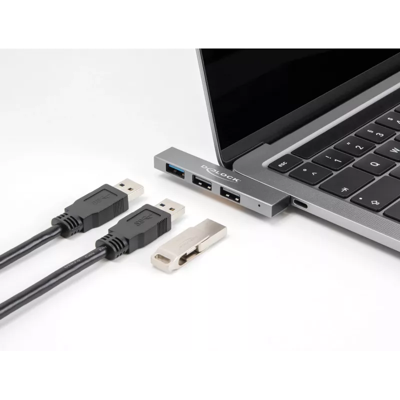 DeLOCK 3 Port schlank USB Hub USB Type-C 10 Gbps 2 x USB 2.0