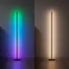 Stehleuchte Nanoleaf N7204K02-1FL 22W RGBW – einstellbare RGB- und abstimmbare weiße Beleuchtung