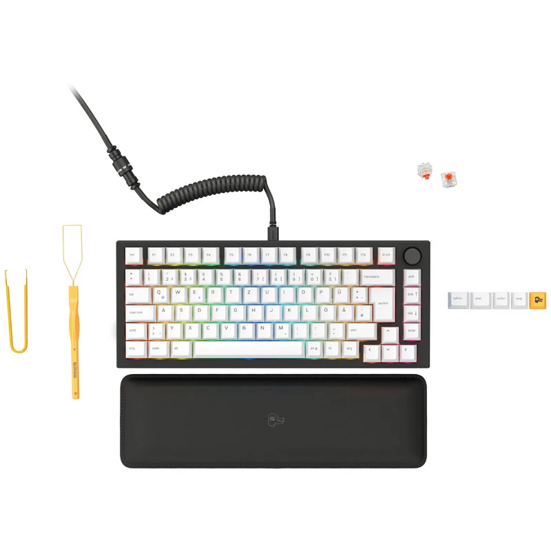 Glorious GMMK Pro Schwarz Slate 75% TKL Tastatur - Vorgebaut, ISO-DE-Layout - schwarz (GLO-GMMK-P75-FOX-ISO-B-DE)