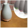 Ellia ARM-510GYA-WWX Blossom Ultraschall-Diffusor mit stimmungsvoller Ambientebeleuchtung