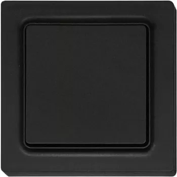 Switch Eltako F2T55E-am 55×55 mm antistatisch matt – Wandmontage-Elektroschalter