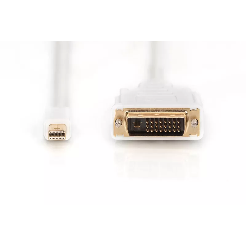 Kabel DisplayPort 1.1a Mini DP-DVI Typ A MM 2,0m