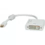Video-Kabeladapter ROLINE 12.03.3137 Mini DisplayPort auf DVI-D 0.1 m