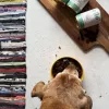 OLLO Umami Gans und Pute - Nassfutter für Hunde - 850 g