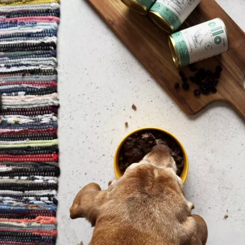 OLLO Umami Gans und Pute - Nassfutter für Hunde - 850 g