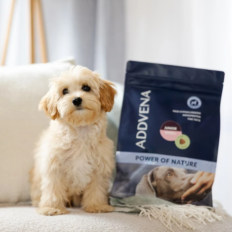 ADDVENA Power of Nature Junior Small Lamb - Trockenfutter für Hunde - 10 kg