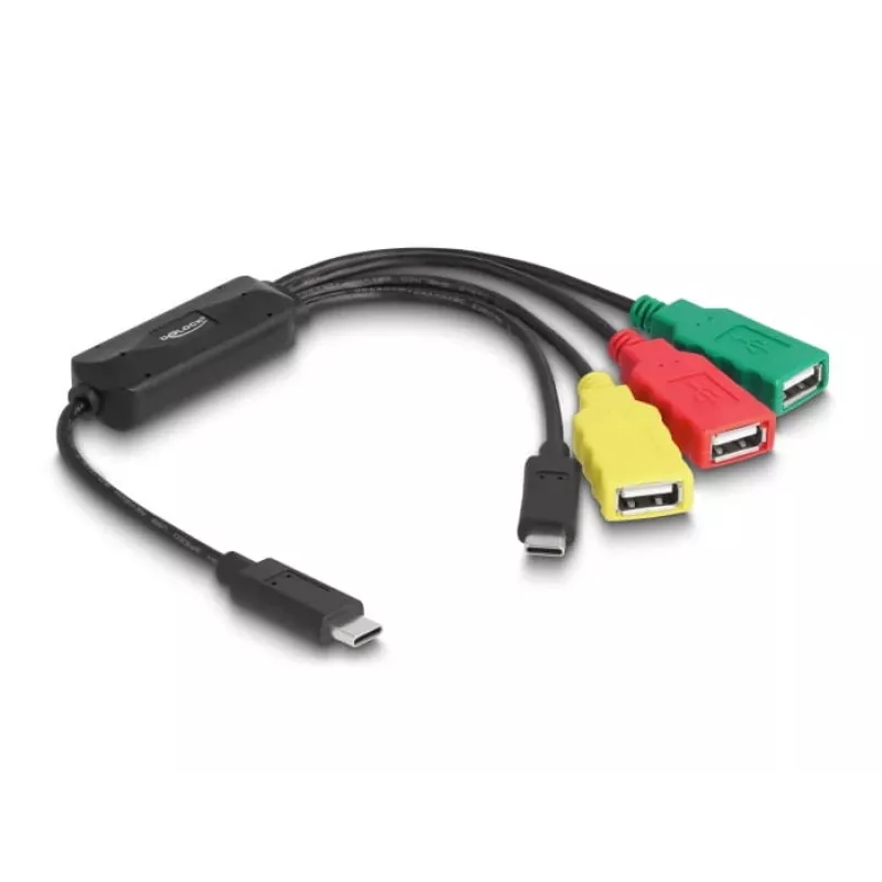 DeLOCK 4-Port USB 2.0 Kabel-Hub USB Type-C auf 3 x USB-A Buchse + 1 x USB-C Stecker