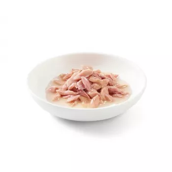 Schesir Adult Nassfutter für Katzen mit Thunfisch im Kochwasser, 85 g