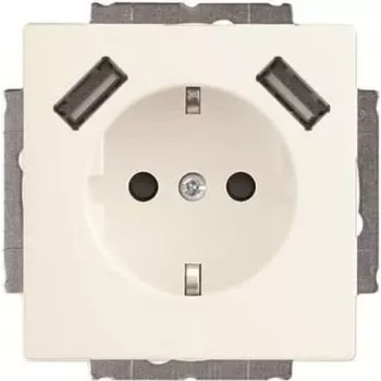 Busch-Jaeger SCHUKO-2x USB Steckdose 20 EUCB2USB-884 (2CKA002011A6277)
