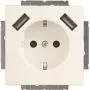 Busch-Jaeger SCHUKO-2x USB Steckdose 20 EUCB2USB-884 (2CKA002011A6277)