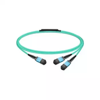 Molex PN passives Glasfaserkabel MMF MPO12 APC 7 m
