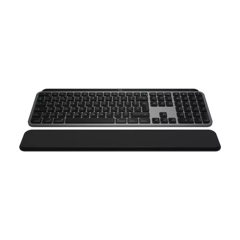 Logitech Master Series MX Keys S Combo für Mac – hintergrundbeleuchtet – kabellos (920-012845)