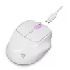 Sharkoon OfficePal M25W kabellose Office-Maus, rechtshändig, 4000 DPI