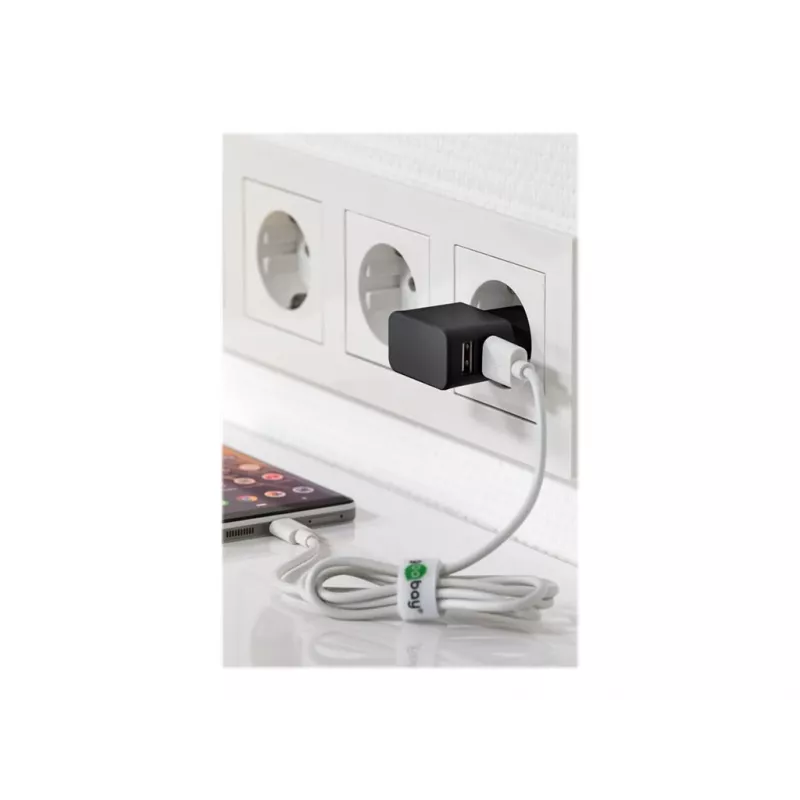 Wentronic goobay Dual-USB-Ladegerät - Netzteil - 12 Watt - 2,4 A - 2 Ausgangsanschlüsse (USB) - Schwarz (44951)