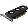 ZOTAC GeForce RTX 5050 Low Profile 8GB GDDR6 Grafikkarte