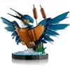 LEGO Icons Kingfisher Vogel-Set Modellbau-Set für Erwachsene mit Wasser-Setting und Ausstellungsständer, tolles Wohn- und Büro-Dekor für den Schreibtisch, Valentinstag