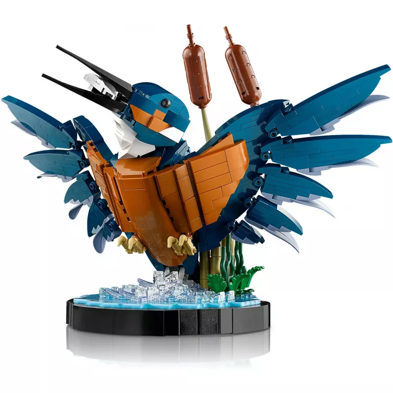 LEGO Icons Kingfisher Vogel-Set Modellbau-Set für Erwachsene mit Wasser-Setting und Ausstellungsständer, tolles Wohn- und Büro-Dekor für den Schreibtisch, Valentinstag