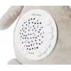Plüsch-Projektor-Spielzeug milly mally Koala Projektor Plüschtier Modell 5661
