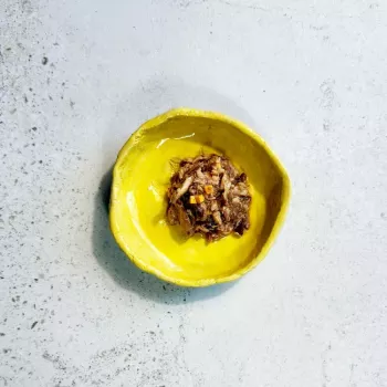 Ollo Tuna with Cheese in Broth Nr 10 70g