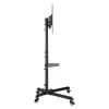 SBOX TV-Wandhalterung FS-224-2 für 32–55-Zoll-Bildschirme, 35 kg Tragkraft, VESA bis 400×400