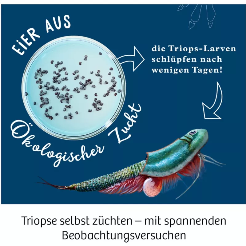 Kosmos 633073 Triops World Experimentierkasten