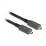 Video-Kabeladapter DeLOCK 84146 5 m USB Type-C Schwarz