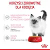 Nassfutter für Katzen Royal Canin Kitten Gravy 85 g — Geflügel, 78 % Feuchtigkeit, 12 % Protein