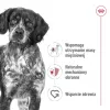 Trockenfutter für Hunde Royal Canin SHN Medium Adult 15 kg — Alleinfuttermittel für ausgewachsene mittelgroße Hunde, Geflügel, 25 % Protein, 14 % Fett
