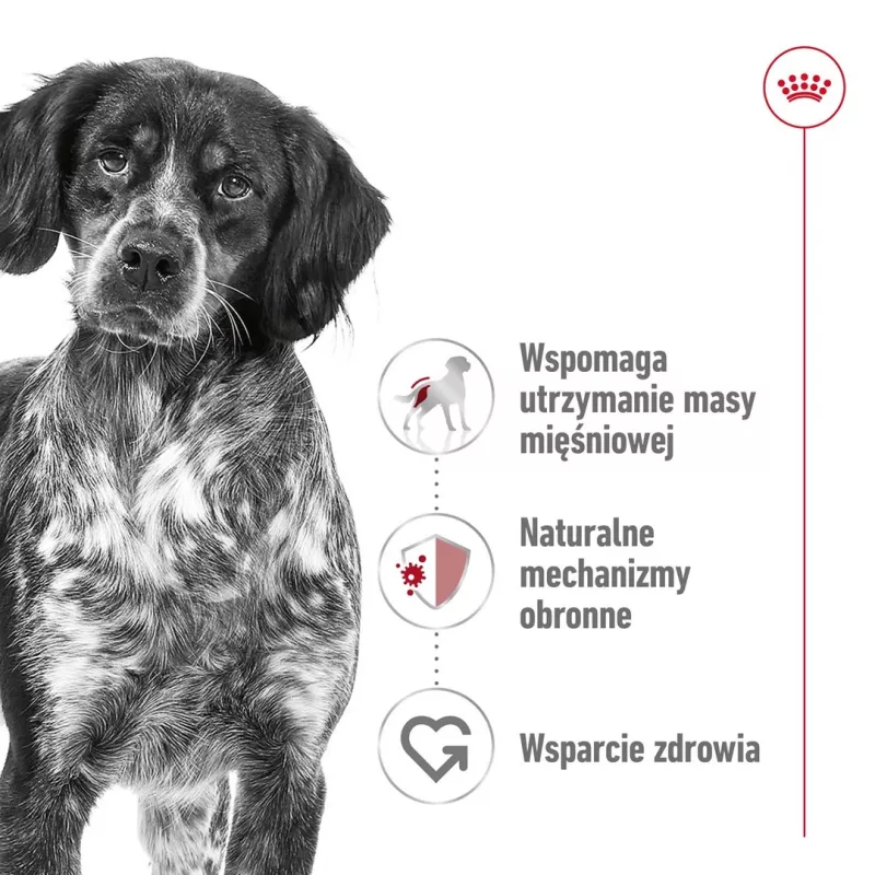 Trockenfutter für Hunde Royal Canin SHN Medium Adult 15 kg — Alleinfuttermittel für ausgewachsene mittelgroße Hunde, Geflügel, 25 % Protein, 14 % Fett
