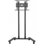 B-TECH Mobiler Ständer 600x400 -70kg bis 75''/Hochformat/Querformat (BT8504/BB V2)