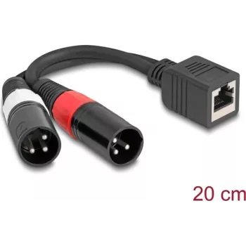 DeLOCK Audiokabel 0,2 m RJ-45 2 x XLR (3-polig) Schwarz 88179
