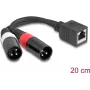 DeLOCK Audiokabel 0,2 m RJ-45 2 x XLR (3-polig) Schwarz 88179