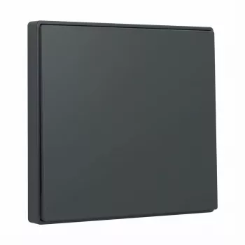 Wippe Gira System 55 Anthrazit 329628 für modulare Rahmen