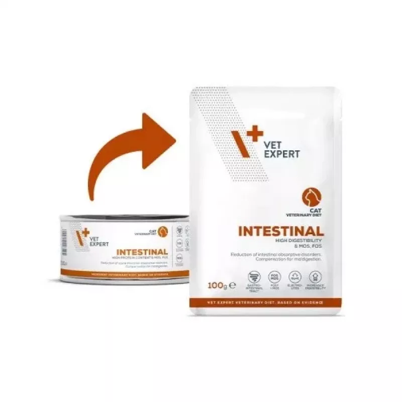 VETEXPERT Intestinal Cat 100 g – Huhn, 38% Protein, 20% Fett, für ausgewachsene Katzen, Bauchspeicheldrüsenschwäche