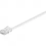 Wentronic 95150 Ethernet-Patchkabel Weiß