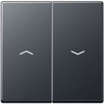 Wand-Bedienfeld Jung A 595 BF P ANM, schwarz, Modell A595BFPANM