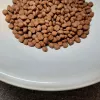 PUPIL Prime Mini reich an Rindfleisch mit Leber – Trockenfutter für Hunde – 1,4kg