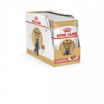 Nassfutter für Katzen Royal Canin British Shorthair Adult Beutel 85 g, Geflügel, ROYAL CANIN Feline Breed Nutrition