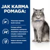 HILL'S Prescription Diet Liver Care - Trockenfutter für Katzen - 1,5 kg